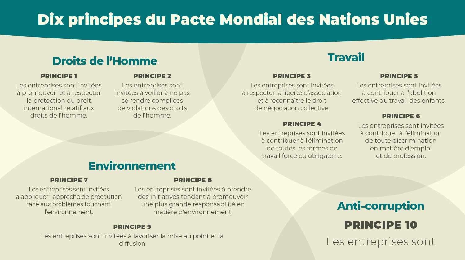 Les 10 principes du pacte mondial des nations unies